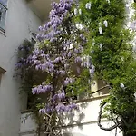 Hotel Minihotel