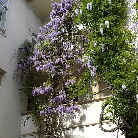 فندق Minihotel